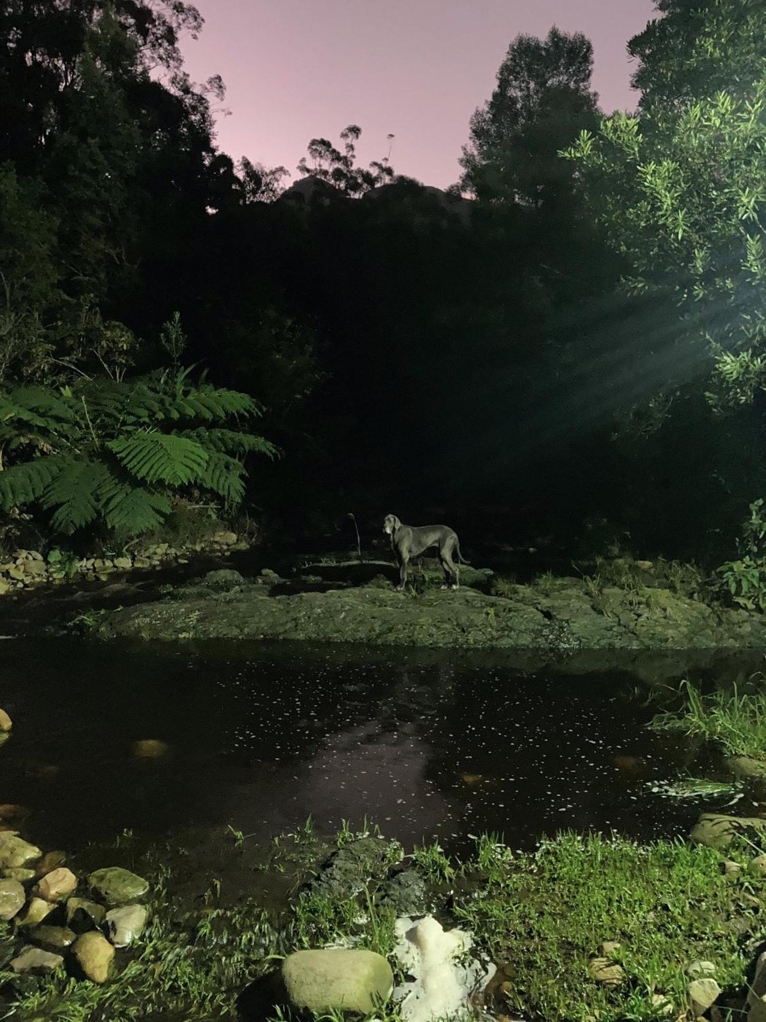 A Riverbed Guesthouse Swellendam Kültér fotó
